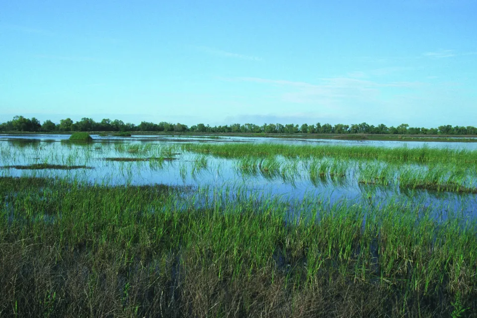 Natural Resources Conservation Service's Wetlands Reserve Program